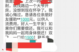 景宁企业清欠服务